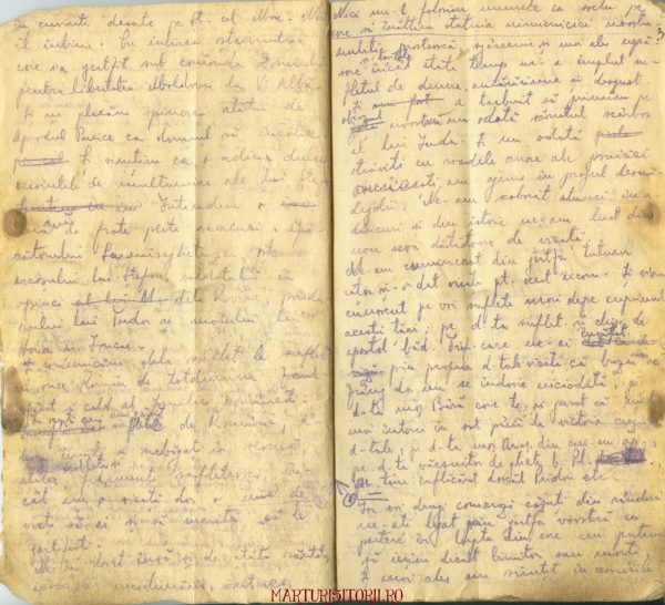 Testamentul-Grupului-Carpatin-Fagarasan-Ogoranu-3-Manuscris-CNSAS-Marturisitorii-Ro