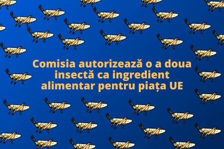 „Bunătăți” de la Bruxelles: Comisia Europeană se pregătește să aprobe mâncarea din MUȘTE și LARVE. Dacă nu vă place, puteți cumpăra făină de greiere cu 96 lei/100 grame