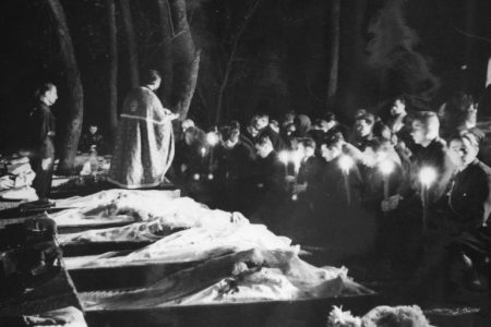 Asasinarea lui Corneliu Codreanu, văzută de unele personalități