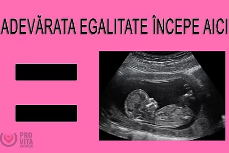 PRO VITA – București: Invitație la CONSULTARE publică despre proiectul „Strategia UE pentru egalitatea de tratament a persoanelor LGBTIQ pentru perioada 2026-2030”